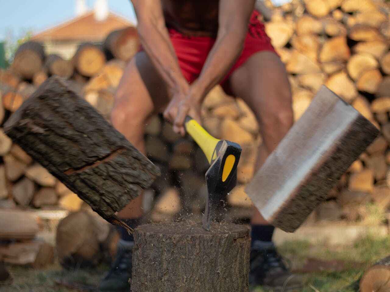 Best Stump Grinding Near Me  in Kittredge, CO